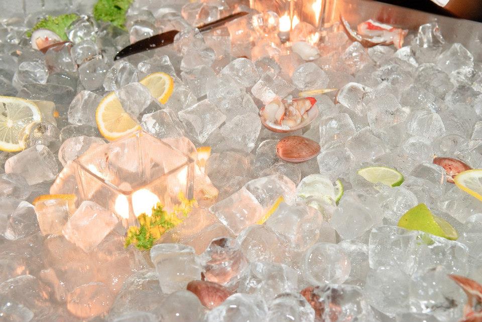 462910291_8427238540708424_7373011749898197234_n