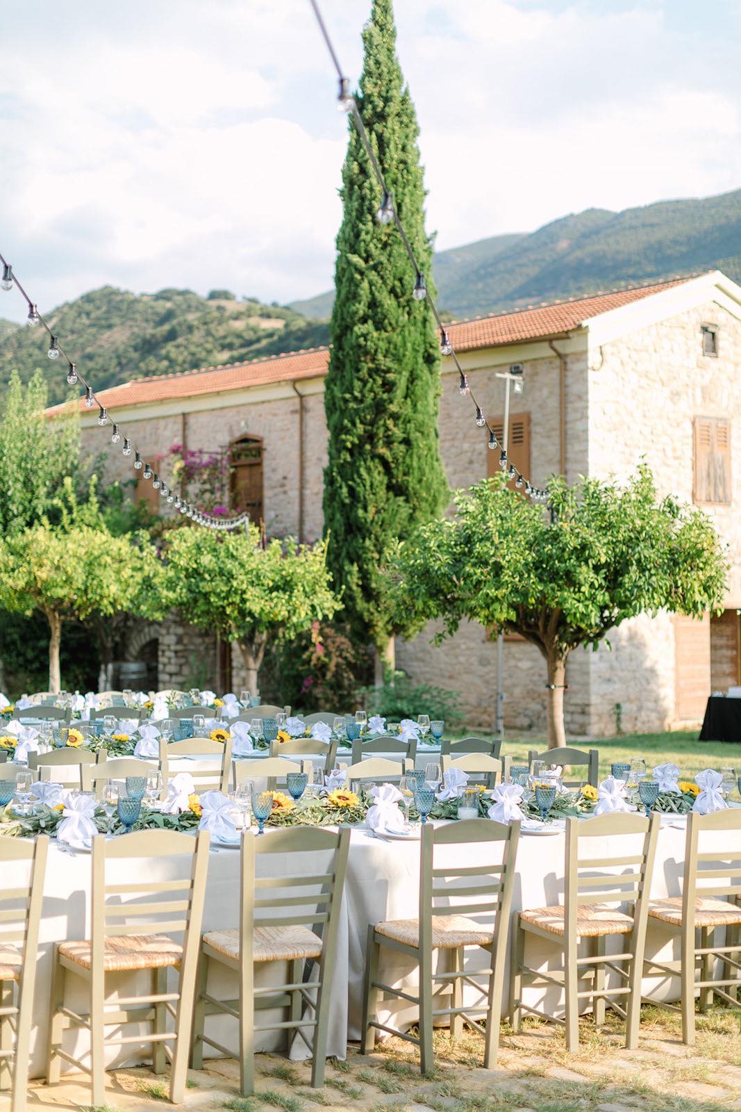 εικόνα_Viber_2025-01-11_23-37-43-540